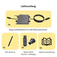 Deye SUN2000G3-EU-230 2000W Micro-Inverter mit WLAN für 4 Solarmodule